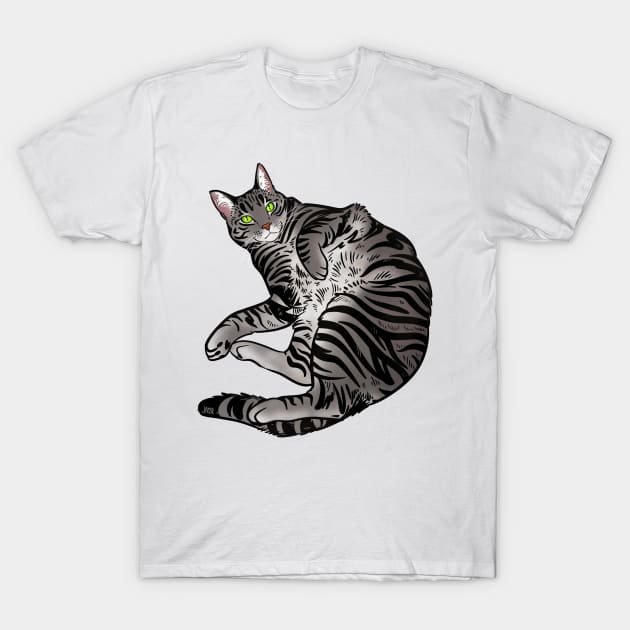 Silver tabby T-Shirt by jastinamor